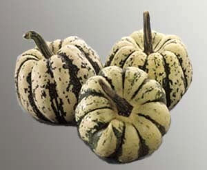 Pompoenen 'Sweet Dumpling' / 'Patidou'