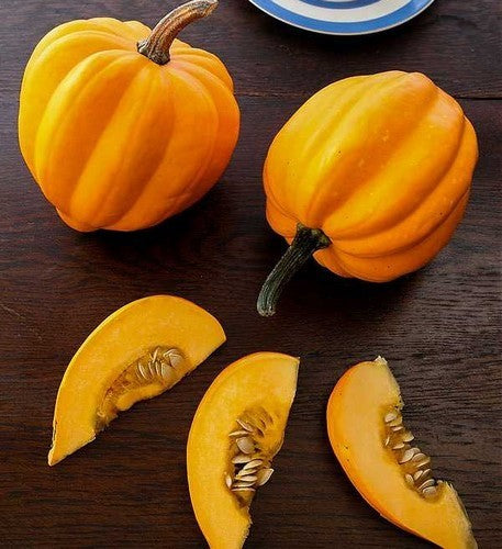 Pompoenen 'Table Gold'