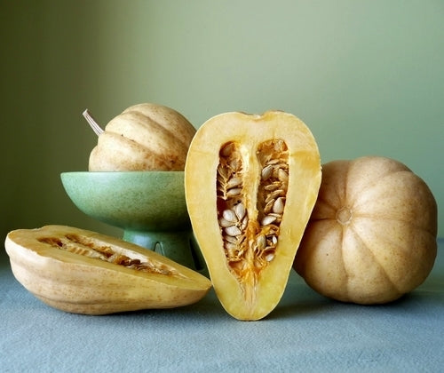 Pompoenen 'Thelma Sanders Sweet Potato'