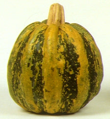 Pompoenen 'Tonda Padana' / 'Americana Tonda'