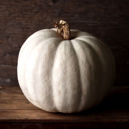 Pumpkins 'Valenciano' / 'Lumina'