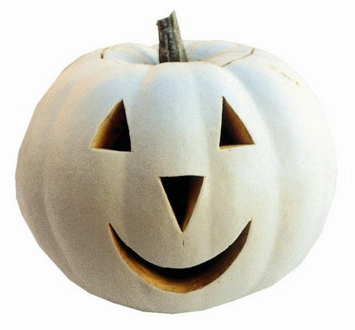 Pumpkins 'Valenciano' / 'Lumina'