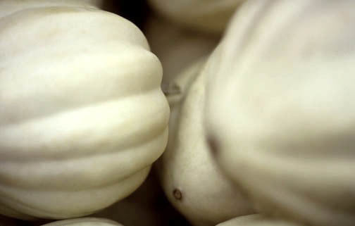 Pumpkins 'White Cloud' F1 / 'Cream of The Crop' F1