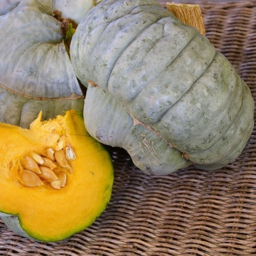 Pompoenen zucca 'Berrettina Piacentina'