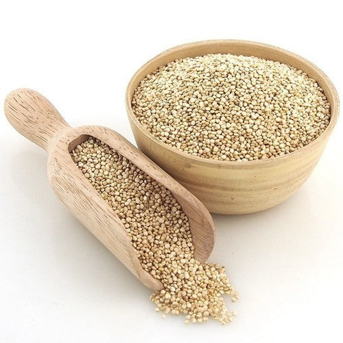 Quinoa 'Vikinga'