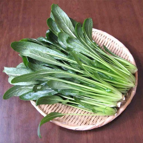 Mibuna 'Early'