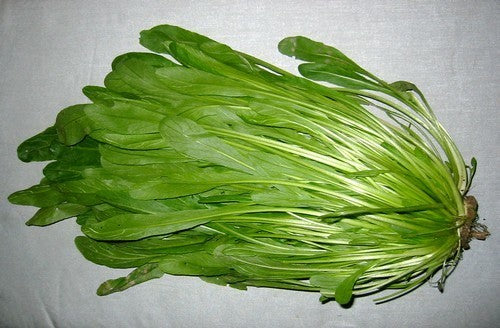 Mibuna 'Early'