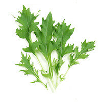 Mizuna 'Green Leaved'