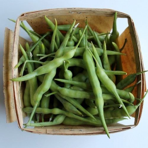 'Rat's Tail' Radish Pods
