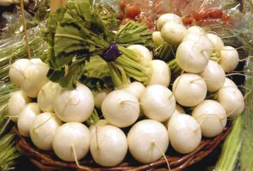 Radish 'Ronde Witte' / 'Hagelsteentjes'