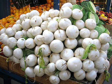 Radish 'Ronde Witte' / 'Hagelsteentjes'