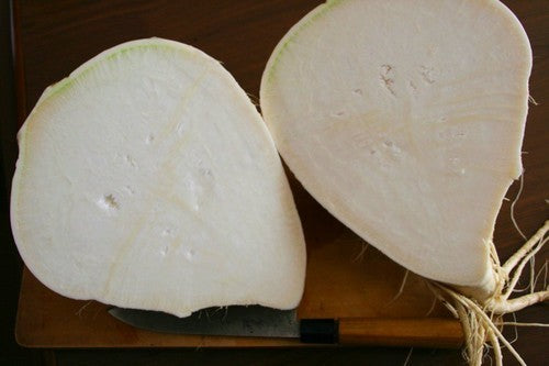 Japanse Radijs 'Sakurajima'