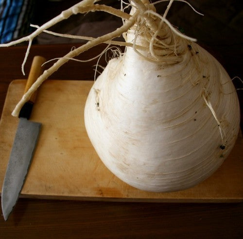 Japanse Radijs 'Sakurajima'