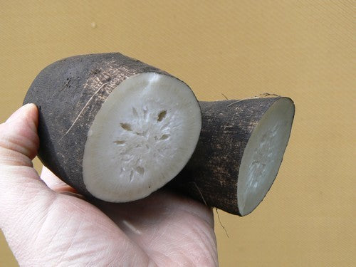 Rammenas 'Lange Zwarte Winter' / 'Noir Long Poids d'Horloge''