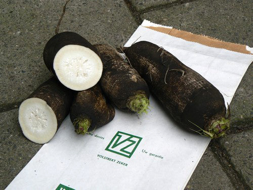 Rammenas 'Lange Zwarte Winter' / 'Noir Long Poids d'Horloge''