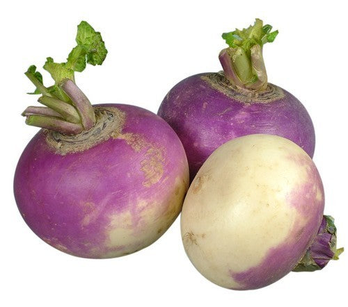 Rapen 'de Nancy' / 'Ronde Witte Roodkop' / Purple Top White
