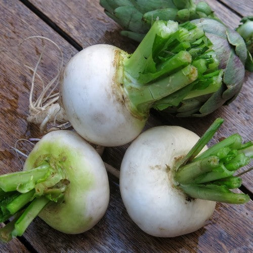 Rapen 'Platte Witte Mei'