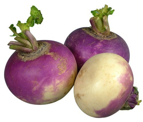 Rapen 'Purple Top Milan' / 'Milanese Witte Roodkop'