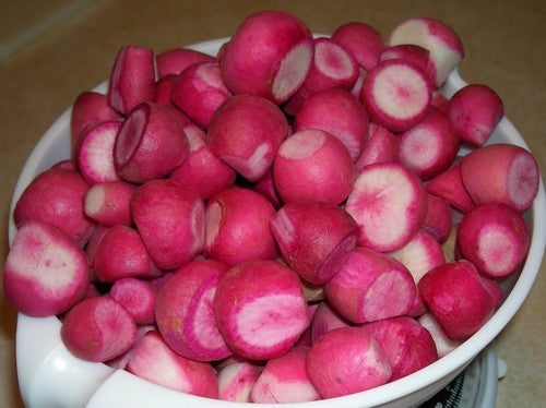 Turnip 'Scarlet Queen Red Stems' F1