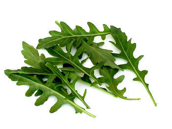 Wilde rucola 'Sylvetta'