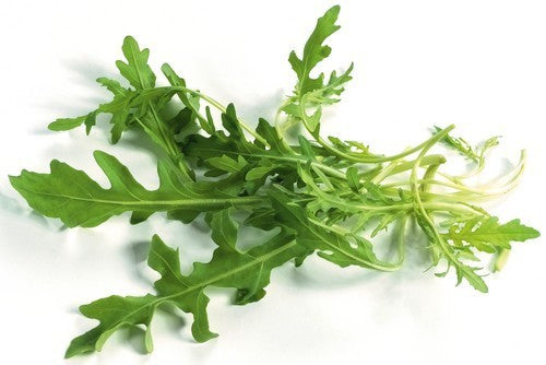 Wilde rucola