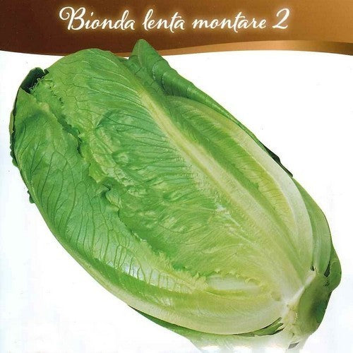Bindsla 'Bionda Lenta A Montare'