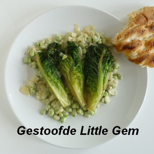 Mini Bindsla 'Little Gem' / 'sucrine' / 'Baby Gem'