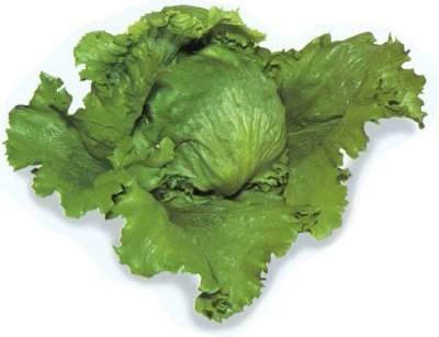 IJssla 'Fortunas'