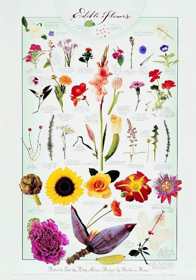 Gourmet Salads Edible Flower Salad