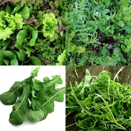 Gourmet salads 'Flower box salads'