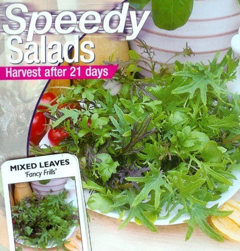 Gemengde Bladsalade 'Fancy Frills'