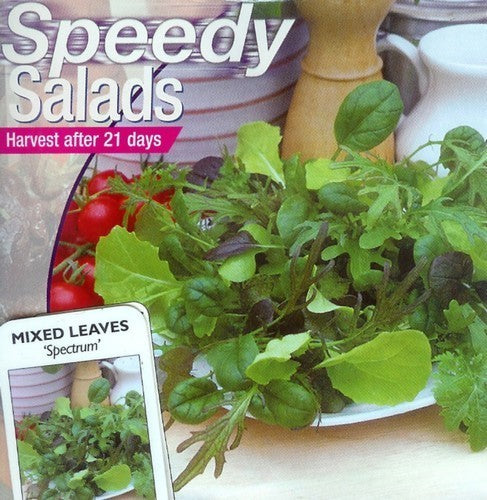 Gemengde Bladsalade 'spectrum'