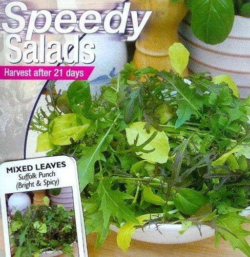 Gemengde Bladsalade 'suffolk Punch'