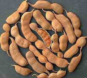 Tamarinde