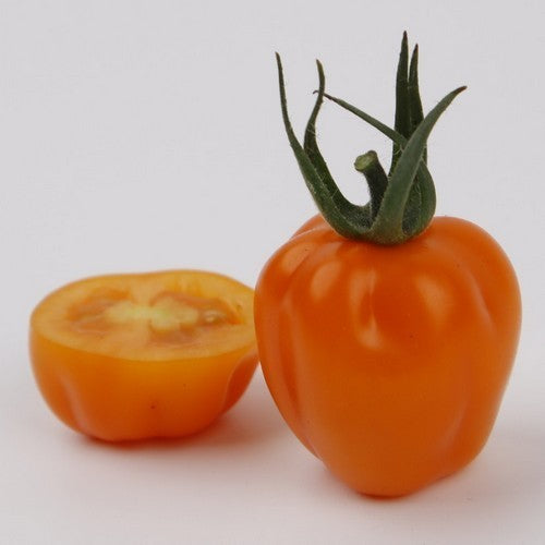 Aardbeitomaatje 'Appleberry Orange' F1