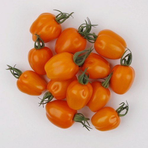 Aardbeitomaatje 'Appleberry Orange' F1