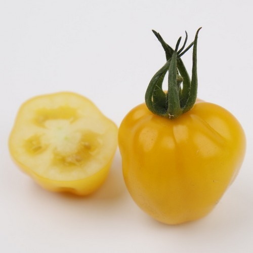 Aardbeitomaatje 'Appleberry Yellow' F1