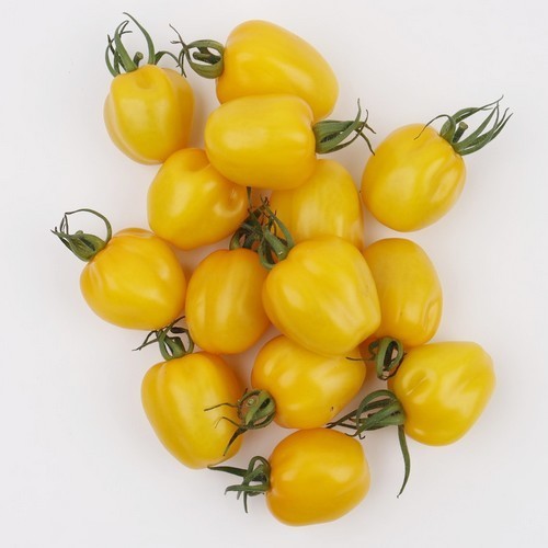 Aardbeitomaatje 'Appleberry Yellow' F1