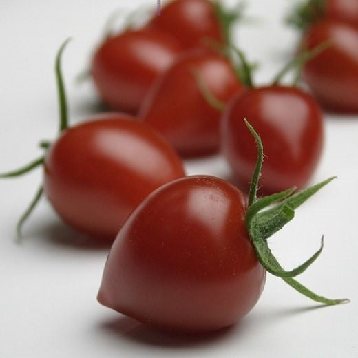 Heart-shaped tomato 'Gardenberry' F1