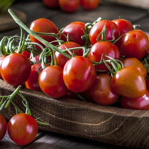 Cherry tomato 'Besser'