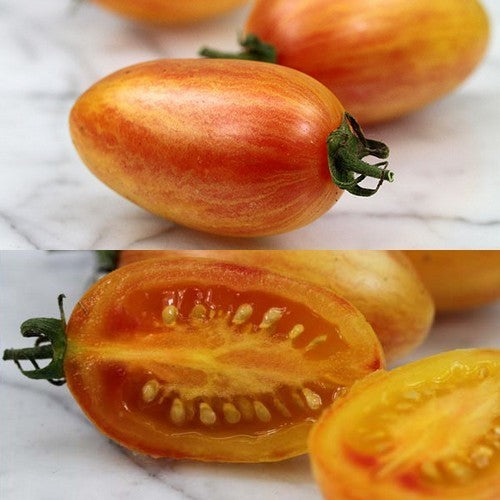 Olijftomaatje 'Blush Tiger' / 'Blush'
