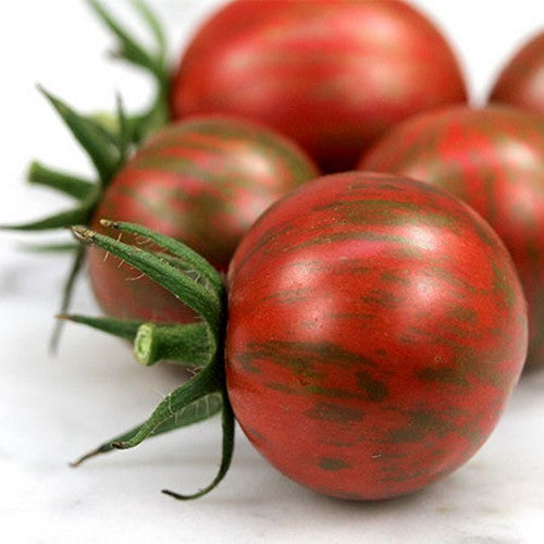 Cherry tomato 'Bumble Bee Purple'