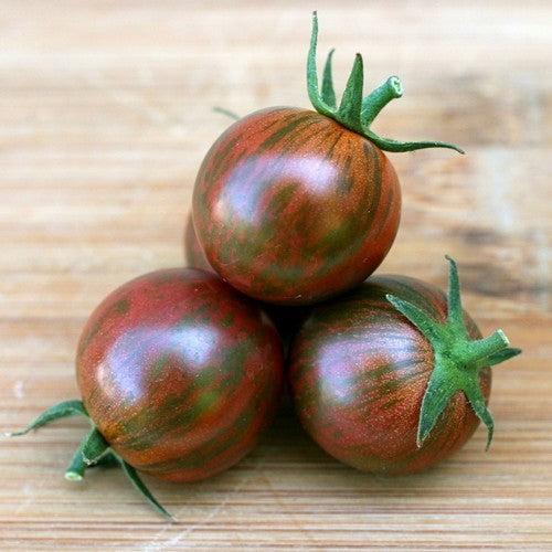 Cherry tomato 'Bumble Bee Purple'