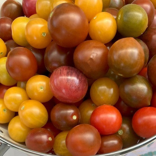 Cherry tomato 'Cherry Party'