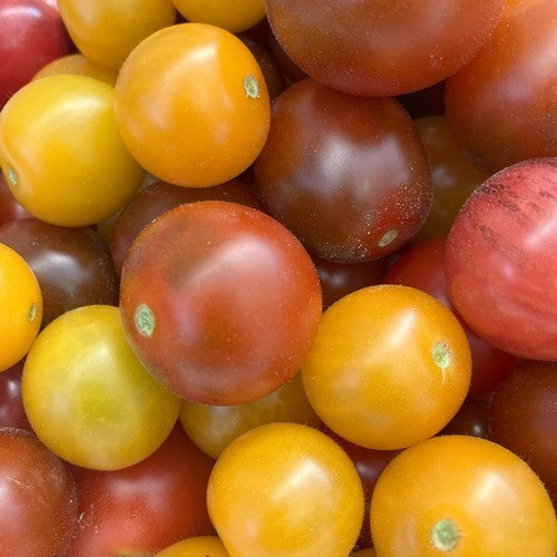 Cherry tomato 'Cherry Party'