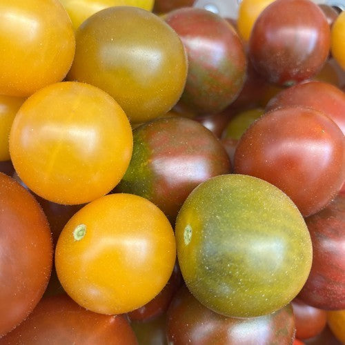 Cherry tomato 'Cherry Party'