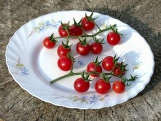 Cherry Tomato 'Tomadose des Comores'