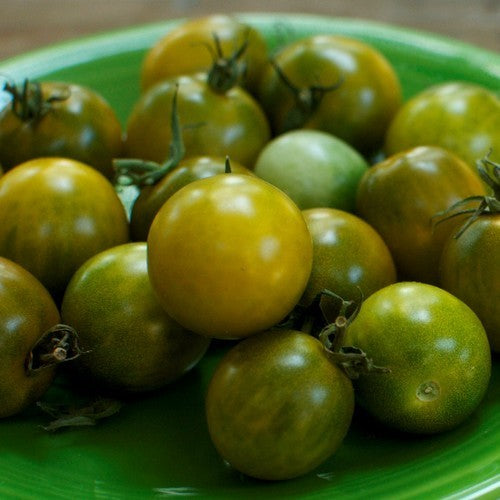 Kerstomaat 'Green Grape'