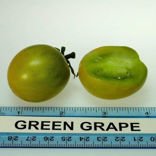 Kerstomaat 'Green Grape'