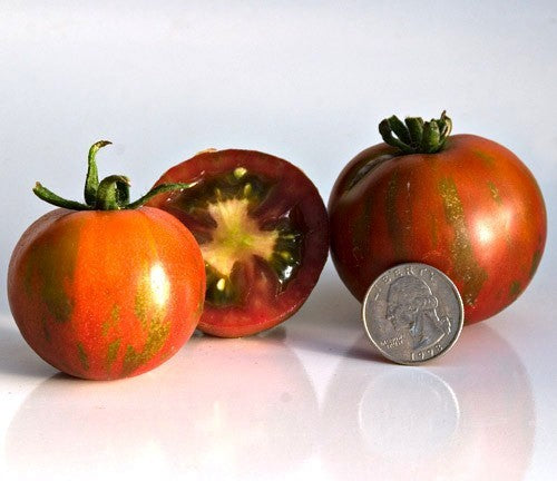 Pingpongtomaat 'Guernsey Island'